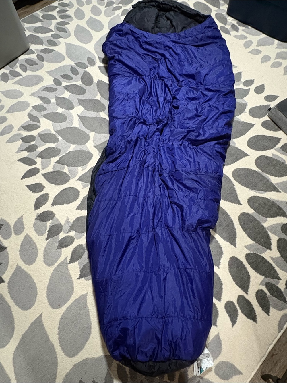 Blue Mummy Sleeping Bag